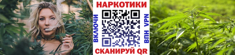 Купить наркоту Волхов Галлюциногенные грибы А ПВП ГАШ Вейп ТГК МАРИХУАНА
