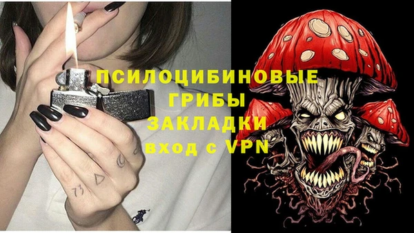 spice Алексин