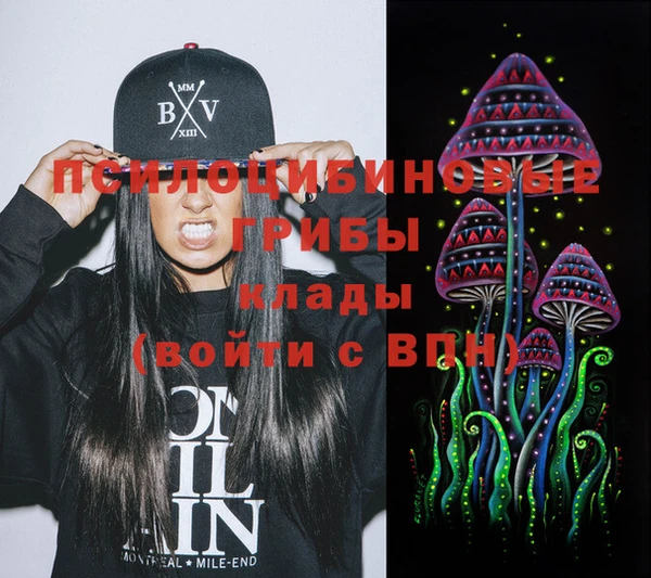 МДПВ Алзамай