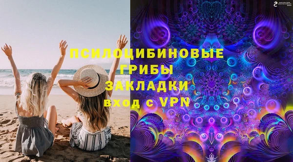 spice Алексин