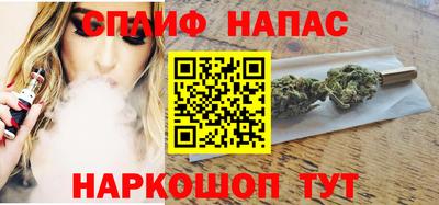 СК Обь