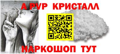 СК Обь