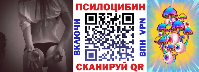 дарк нет Telegram Волхов Галлюциногенные грибы мицелий