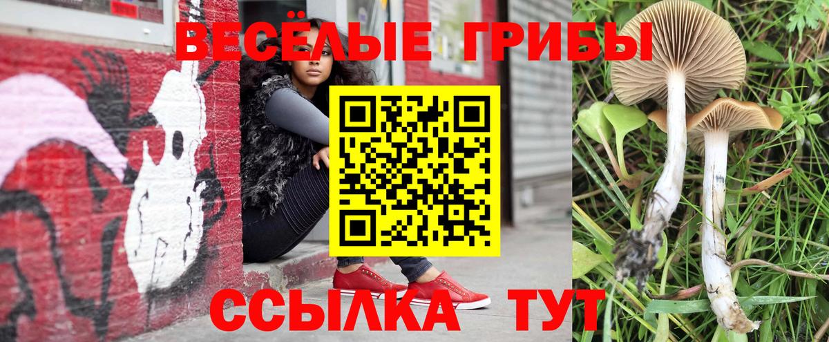Псилоцибиновые грибы ЛСД  Вход с VPN  Псилоцибиновые грибы Cubensis  Волхов 