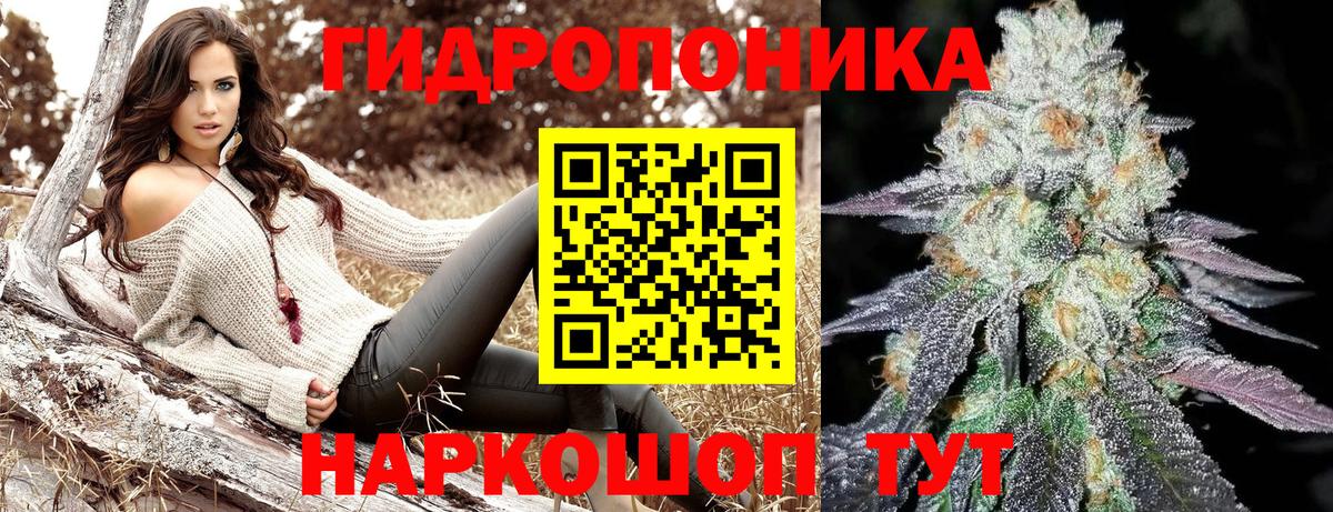 Бошки марихуана ГИДРОПОН  Канабис план  МАРИХУАНА Ganja  Вход с VPN  Волхов  Бошки марихуана планчик 